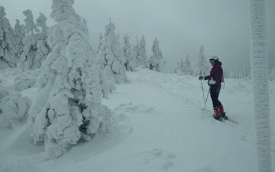 Běžky, Skialpinismus, Sněžnice