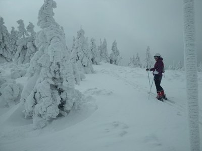 Běžky, Skialpinismus, Sněžnice